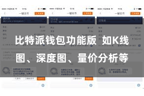 比特派钱包功能版  如K线图、深度图、量价分析等